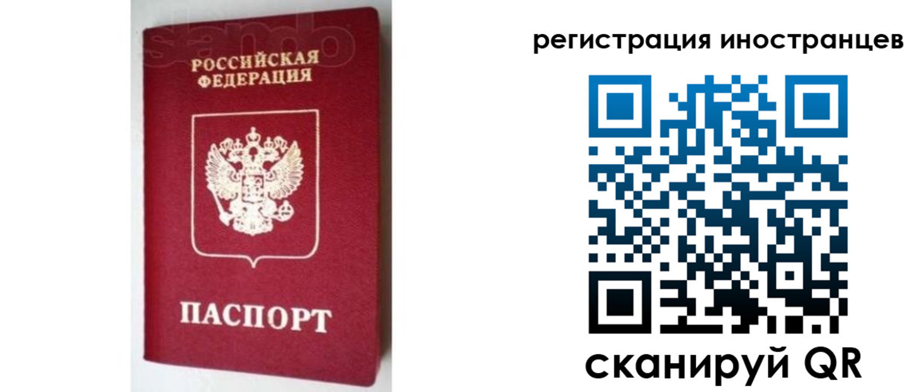 прописка для работы в Александрове